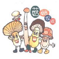 菇菇家族及圖
