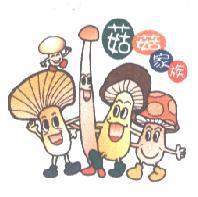 菇菇家族及圖