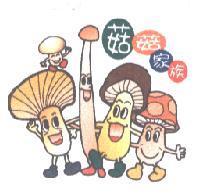 菇菇家族及圖