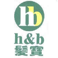 髮寶 h&b 與圖