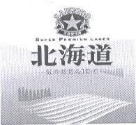 北海道 HOKKAIDO 及三寶樂 SAPPORO 設計圖