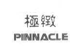 極緻及 PINNACLE