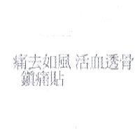痛去如風 活血透骨 鎮痛貼