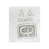 高盛 CENTAL