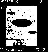 舒潔彩帶圖