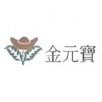 金元寶及圖