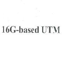 16G-based UTM
