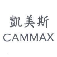 凱美斯 CAMMAX