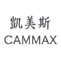 凱美斯 CAMMAX