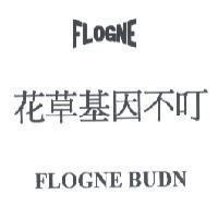 花草基因不叮 FLOGNE BUDN 及圖