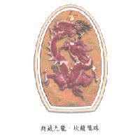 典藏九龍.坎龍甩珠及圖