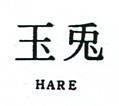 玉兔 HARE 