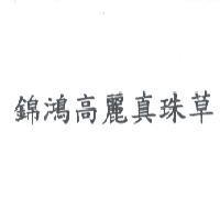 錦鴻高麗真珠草
