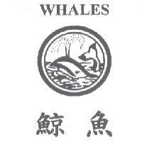 鯨魚 WHALES 及圖