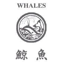 鯨魚 WHALES 及圖