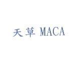 天草 MACA