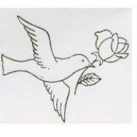飛鴿銜花圖