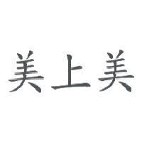 美上美