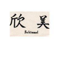 欣美