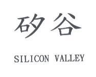 矽谷 SILICON VALLEY