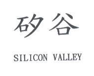 矽谷 SILICON VALLEY