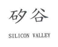 矽谷 SILICON VALLEY