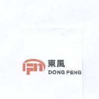 東風 DONG FENG 及圖