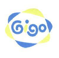 GIGO 及圖