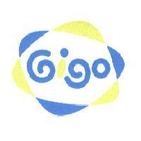 GIGO 及圖