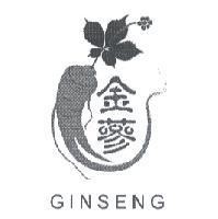 金蔘及圖 GINSENG