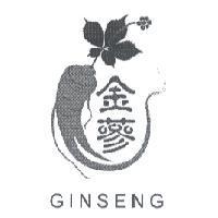 金蔘及圖 GINSENG