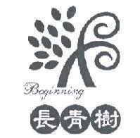 長青樹 Beginning 及圖