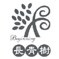 長青樹 Beginning 及圖