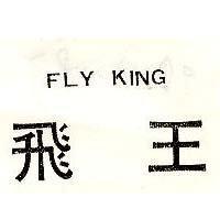 飛王 FLY KING