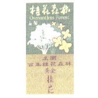 桂花森林黃金桂花及圖 OSMANTHUS FOREST