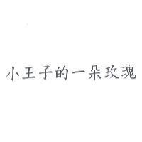 小王子的一朵玫瑰