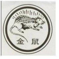 金鼠