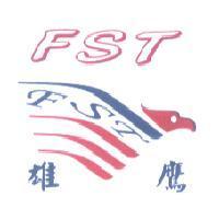雄鷹 FST 及圖