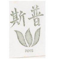 普斯及圖 ROUS