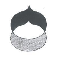 栗形圖