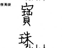 寶珠