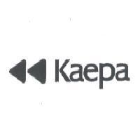 Kaepa & Twin Black Triangle device