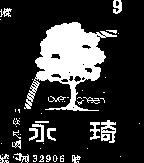 永琦及圖 EVER GREEN 