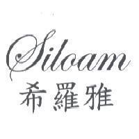 希羅雅 Siloam 設計字