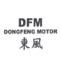 DFM DONGFENG MOTOR 東風