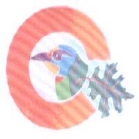 五色鳥圖