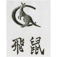 飛鼠及圖