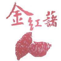 金紅藷及圖