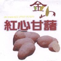 金山紅心甘藷及圖