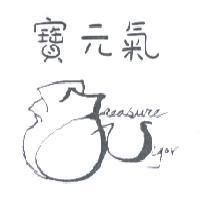 寶元氣 Treasure Vigor 及圖